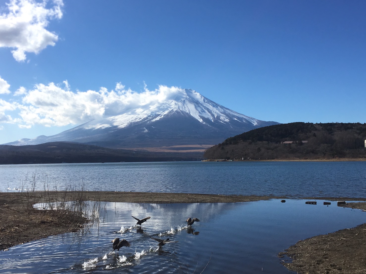 山中湖からの富士山